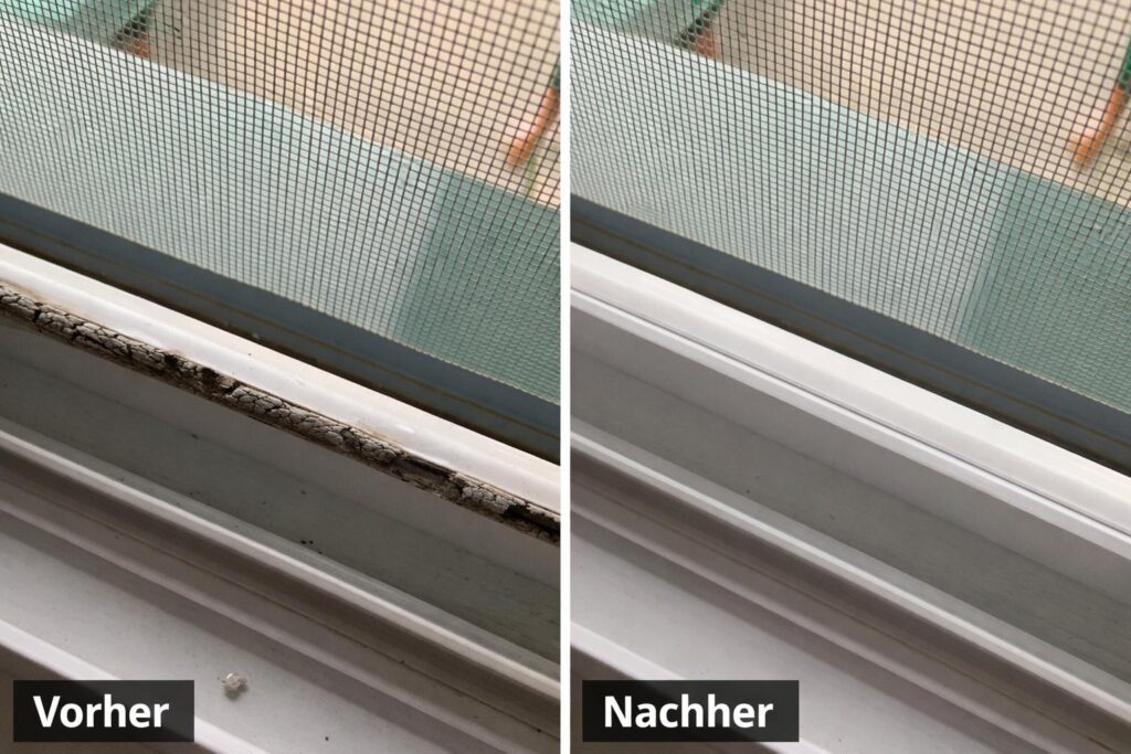 WhatsApp Image 2026-01-27 at 18.23.59