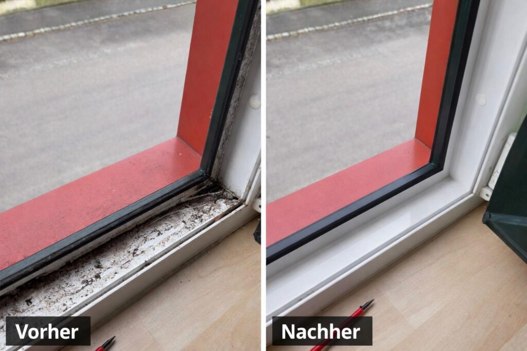 WhatsApp Image 2026-01-27 at 18.24.33